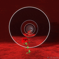 Art 3D GIF by Pi-Slices