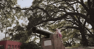 mississippi GIF