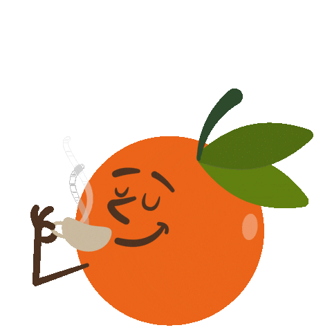 Novazurich Sticker