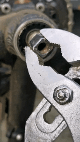 sebastianandersend979  GIF
