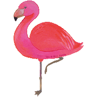 Rosa Flamingo Sticker by Mr. & Mrs. Panda