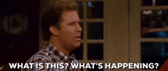will ferrell wtf GIF