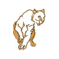 Jaguar Ire Sticker by 100k Experience