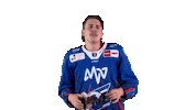 Eishockey Sticker by Adler Mannheim