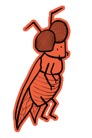 JohnnyMacc giphyupload dance dancing fly Sticker