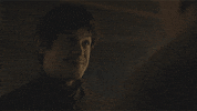 hbo GIF by Game of Thrones