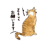 Cat ねこ Sticker