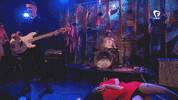 disappear funny or die GIF by gethardshow