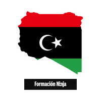 Libya Flag Sticker by Formación Ninja