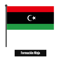 Libya Flag Sticker by Formación Ninja
