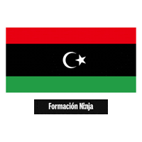 Libya Flag Sticker by Formación Ninja