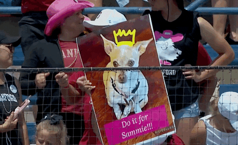 Softball Chihuahua GIF by NCAA Championships