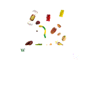 Candy Web Sticker by PromanuezMX