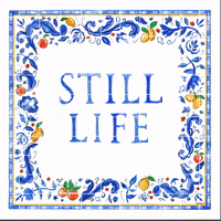 4thestatebooks parrot still life claude macaw GIF