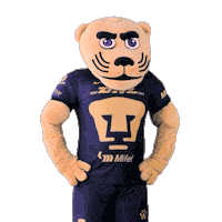 Football Sport Sticker by Pumas MX