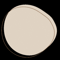 Woodyenco bedankt woodyenco woodyencocom bedanktwebshop GIF