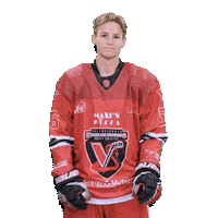 Call Me Hockey Sticker by diablesrougesvalenciennes