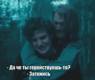 giphy.gif