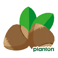 Vegan Vector Sticker by planton