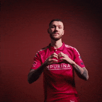 Stl Cello GIF by St. Louis CITY SC