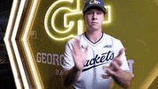 Georgia Tech Baseball GIF by Georgia Tech Yellow Jackets