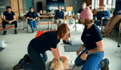 Cpr GIF by Monterey Bay Aquarium