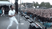 GIF by Pitchfork