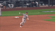 Baseball Playoffs GIF by MLB