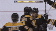 happy ice hockey GIF by NHL
