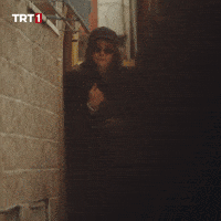 Top Secret Omg GIF by TRT