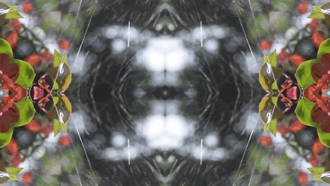 Art Love GIF by jorgemariozuleta