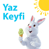 Summer Yaz Sticker by Fibabanka