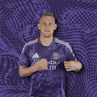 Mls Robin GIF by Orlando City SC