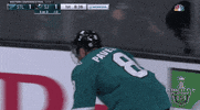 happy ice hockey GIF by NHL