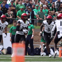 University Of Cincinnati Interception GIF by Cincinnati Bearcats