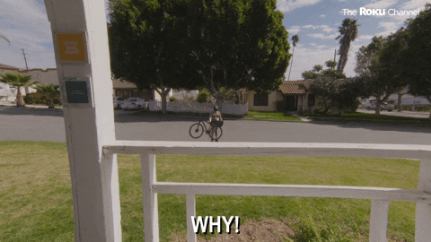 Reno 911 GIF by The Roku Channel