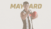 magpies gopies GIF by CollingwoodFC
