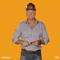 Channel 9 Scotty GIF by The Block