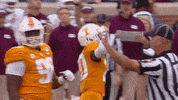 Tennessee Football Ut GIF by Tennessee Athletics
