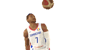 Dominican Republic Basketball Sticker by FIBA