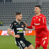 Football Celebration GIF
