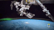 One Strange Rock GIF by National Geographic Channel