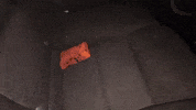 Magic Banana GIF