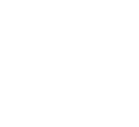 MyCottageGarden summer white nature flowers Sticker