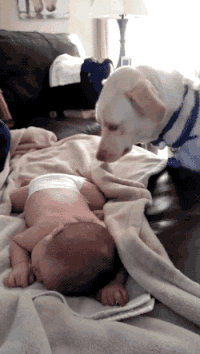 GIF by Demic