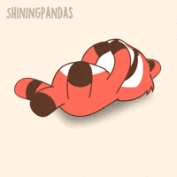 Red Panda Laughing GIF