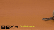 halloween ghost GIF by BESE