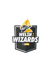 psl squash Sticker by Welsh Wizards