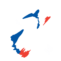 France Football Sticker by SportsManias