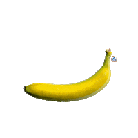 Banana Fruit Sticker by ALDI Belgium